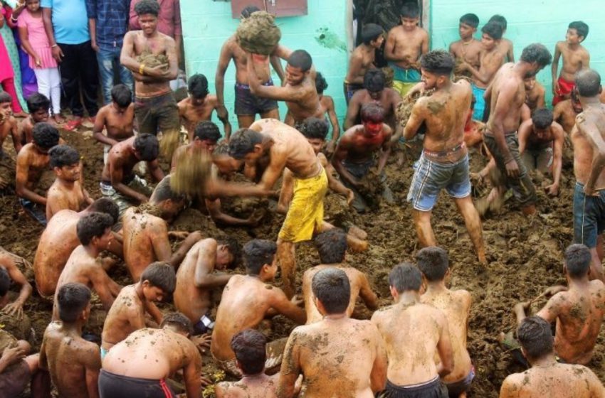 Indian village celebrates 'cow dung flinging' festival (AFP)