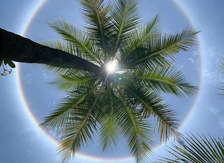 Sun -Rainbow-Nature