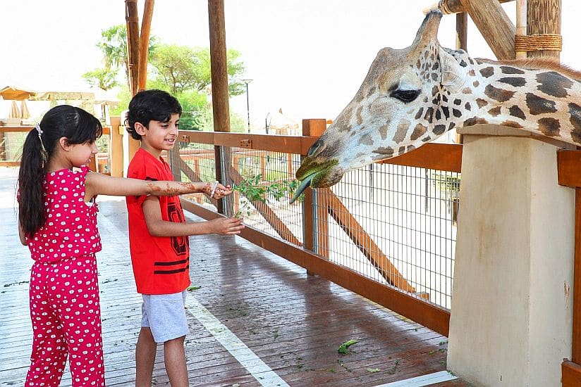 Al Ain Zoo announces Eid Al Adha opening hours
