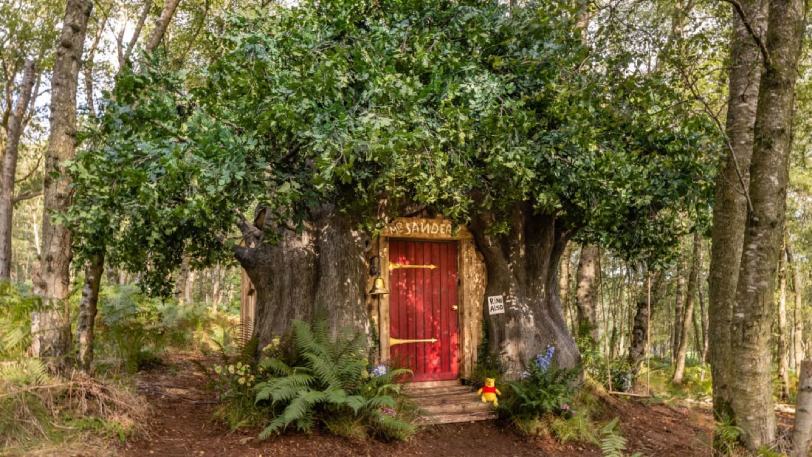 Live like Winnie the Pooh at this unique Bearbnb!