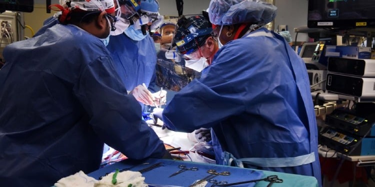 Pig heart transplant into human