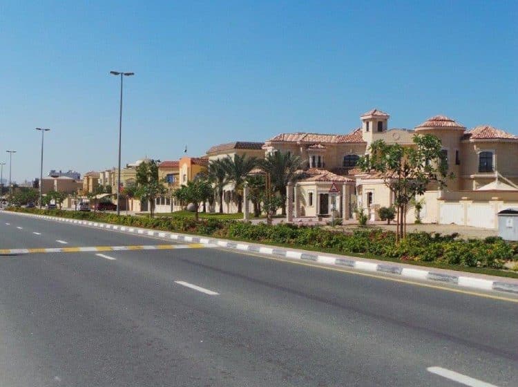 Dubai Municipality adds over 170,000 trees in 2021
