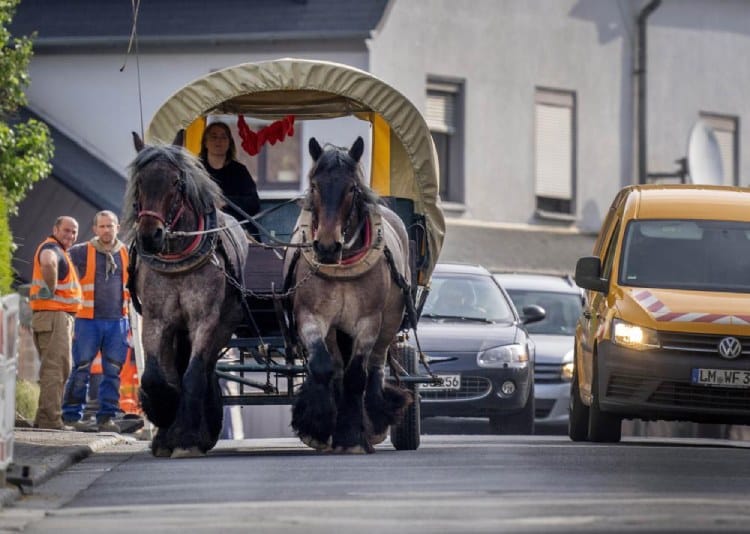 German farm owner saves fuel money with horse-drawn carriage