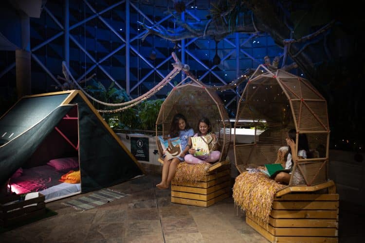 Camp overnight in a rainforest in Dubai
