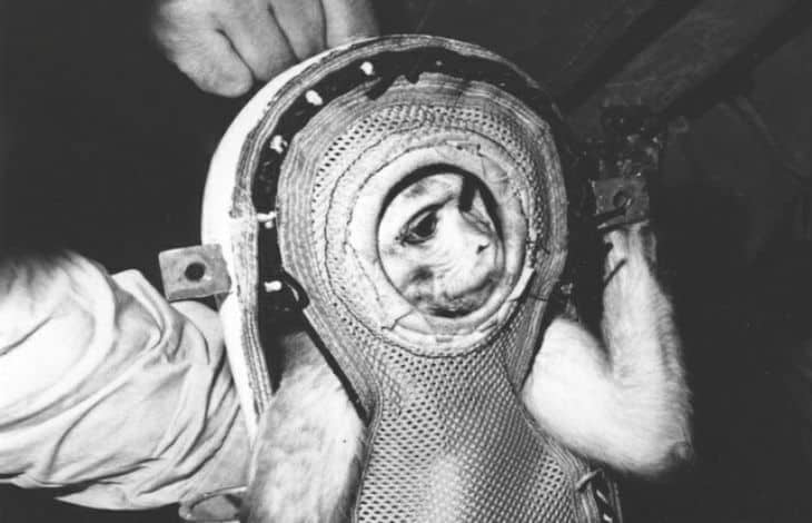 This Day, That Year in History - June 14 - First Monkey in Space