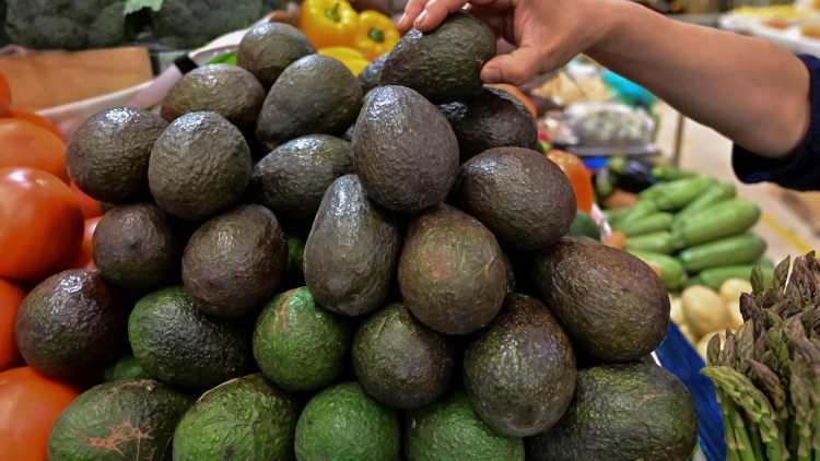 Avocado farmer consumption push Aussies Are Being Called On To Eat As Many Avocados As Possible Following Avo-Lanche