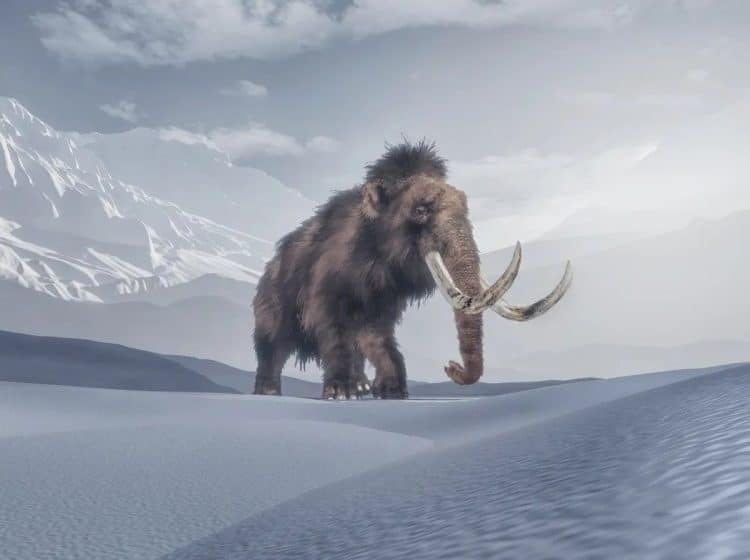 Real-life Jurassic Park aims to bring woolly mammoths back to life