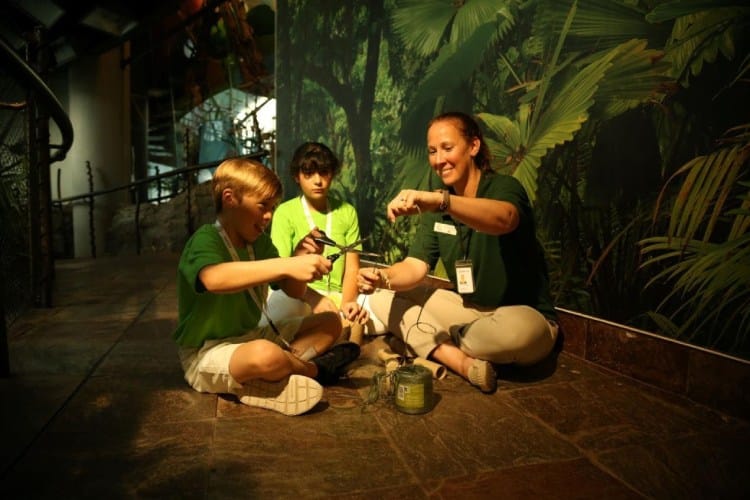 Summer Camp in the Rainforest designed to keep kids engaged across the summer