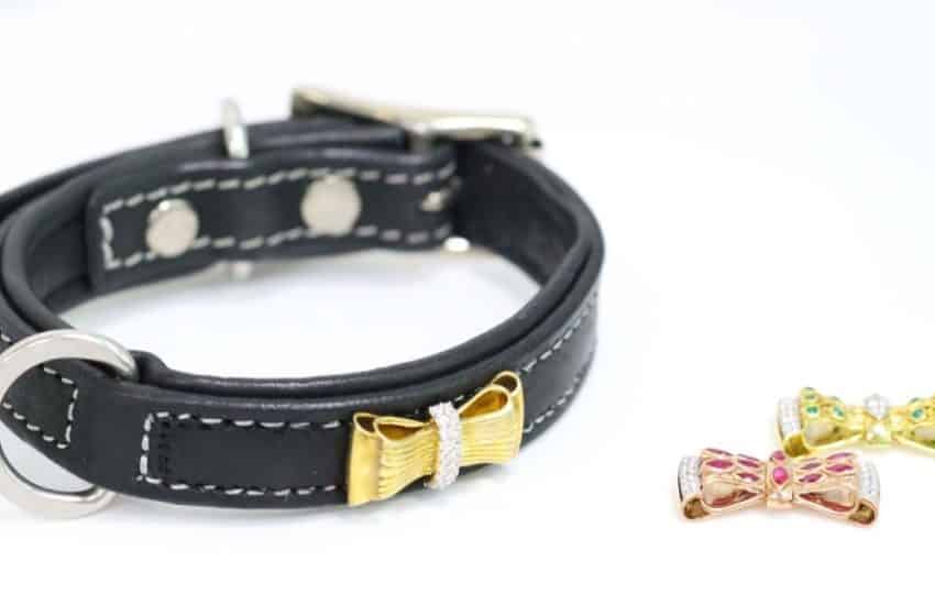 You can now buy a Diamond-studded for your dog