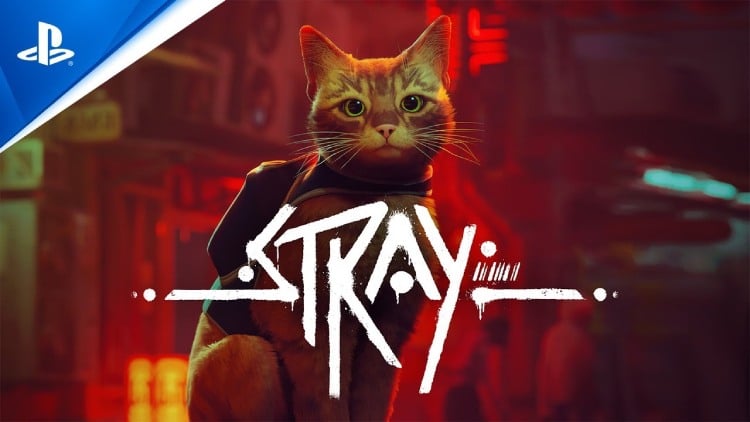 Video Game Developer Behind Open-World Stray Is Raising Money For Homeless Cats