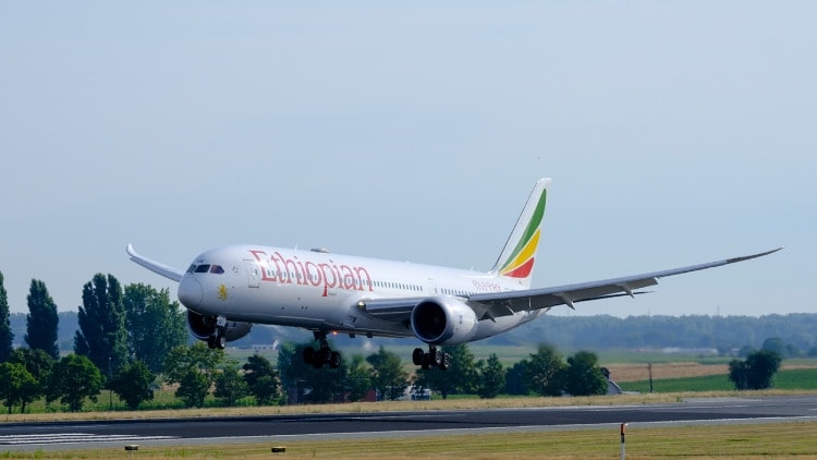 Ethiopian Airlines pilots fall asleep on a flight from New York to Rome