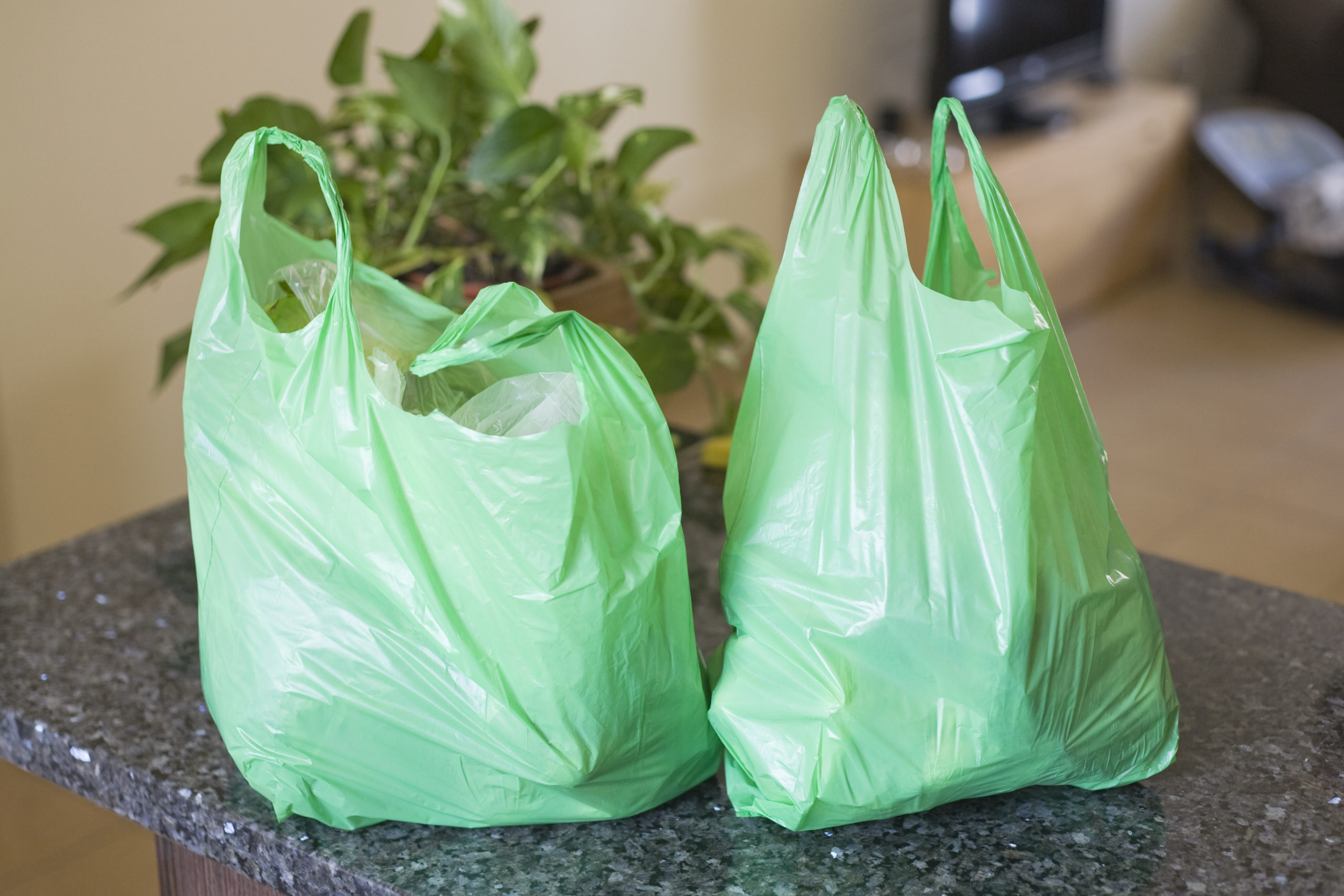 Sharjah to ban single-use plastic bags from January 1, 2024