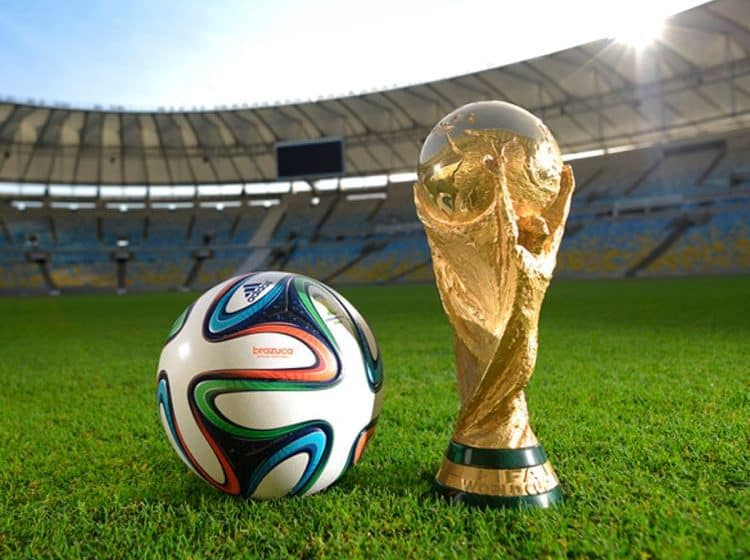 UAE grants multiple-entry tourist visas to Hayya cardholders for FIFA World Cup visitors