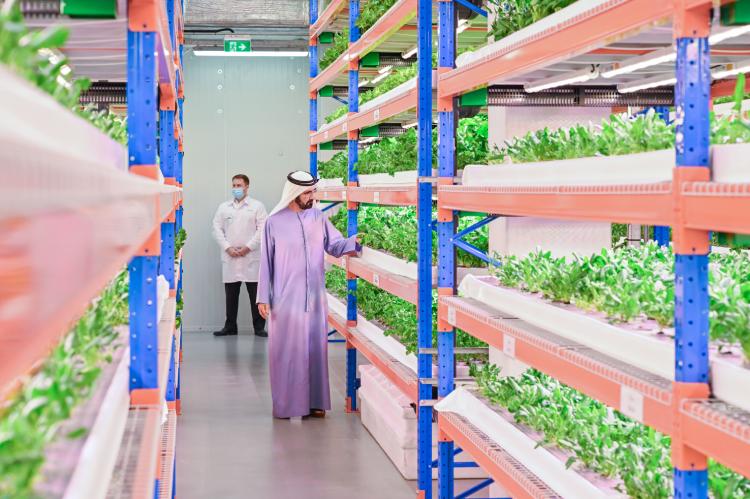 HH Sheikh Mohammed bin Rashid tours the world’s largest vertical hydroponic farm in Dubai
