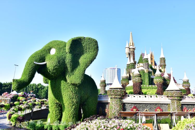 Dubai Miracle Garden ready to welcome visitors with floral tunnels, 3D water and light installations