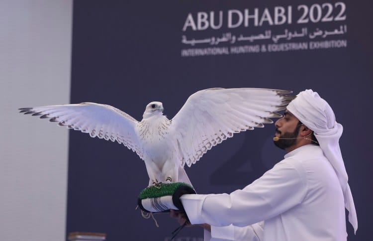 Most expensive falcon in the history of the ADIHEX was auctioned off for AED 1.1m