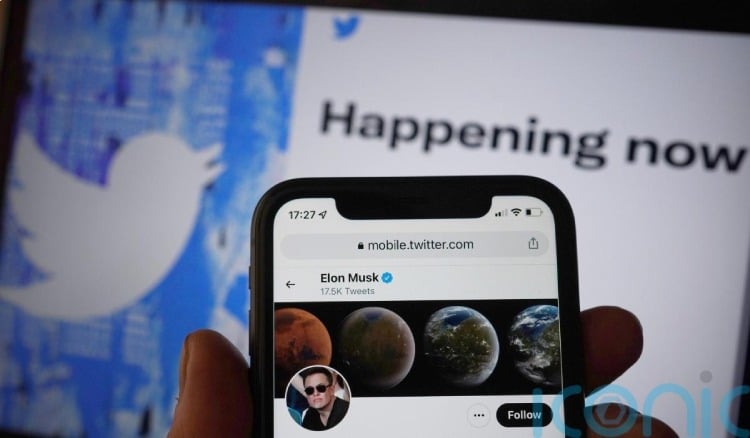 Elon Musk invites people to watch the first World Cup match on Twitter